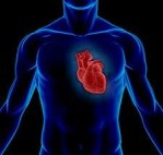 Perikardit (Kalp zarı iltihabı) Nedir